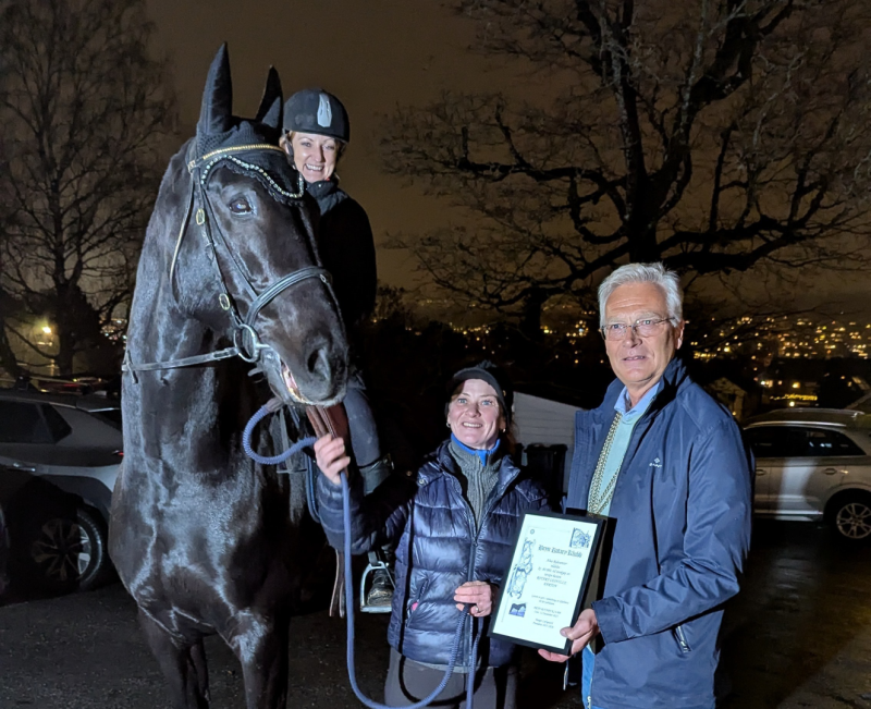 GAVE TIL ALNA RIDESENTER