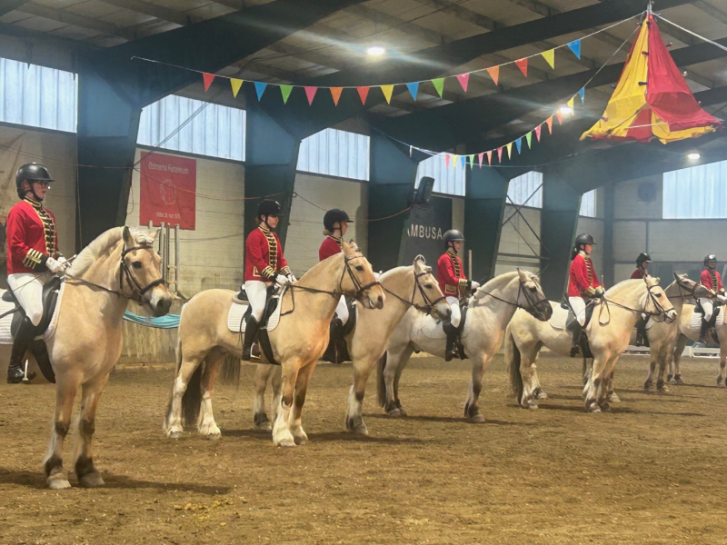 Bryn Rotary på 20 års jubileum i Alnastallen 22.mars.